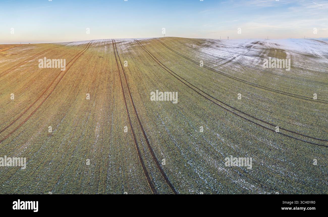 Vista aerea del campo agricolo con innevamenti e cingoli dei trattori nel paesaggio invernale sotto il cielo azzurro. Foto Stock