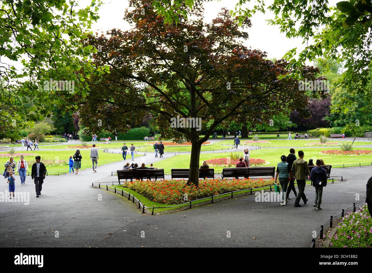Una vista panoramica del St. Stephen's Green Park di Dublino, con un grande albero colorato al centro di un incrocio di sentieri pedonali, circondato da fiori. Foto Stock