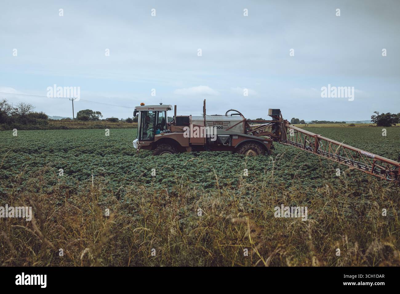 Bridge of Dun è uno storico ponte in pietra ad Angus, Scozia, costruito nel XVIII secolo, noto per le viste panoramiche, la fauna selvatica e il patrimonio ferroviario. Foto Stock