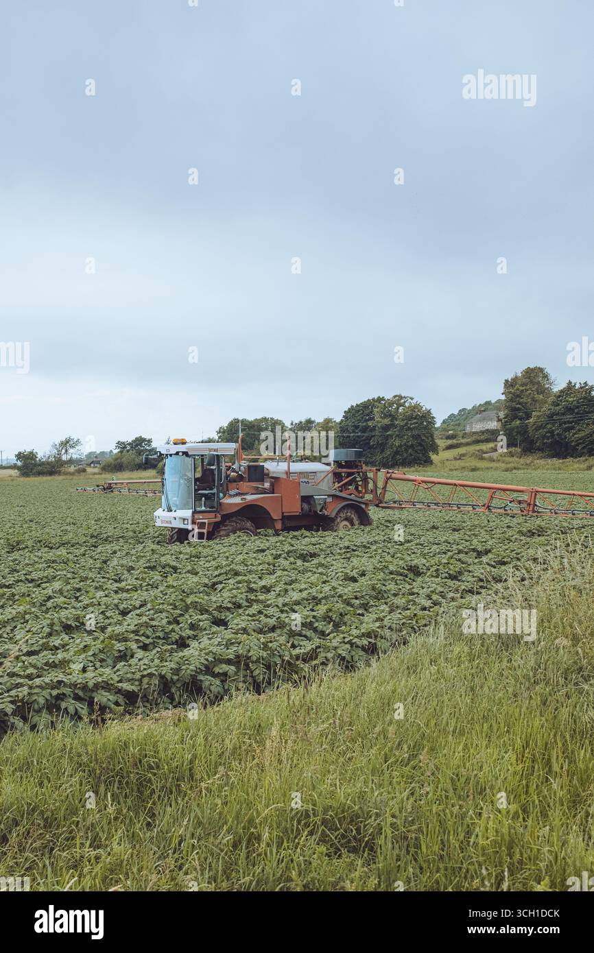 Bridge of Dun è uno storico ponte in pietra ad Angus, Scozia, costruito nel XVIII secolo, noto per le viste panoramiche, la fauna selvatica e il patrimonio ferroviario. Foto Stock