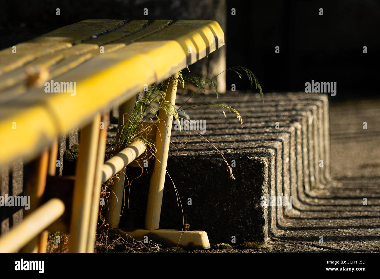 File di posti gialli allo stadio sportivo Strahov abbandonato e in rovina a Praga. Foto Stock