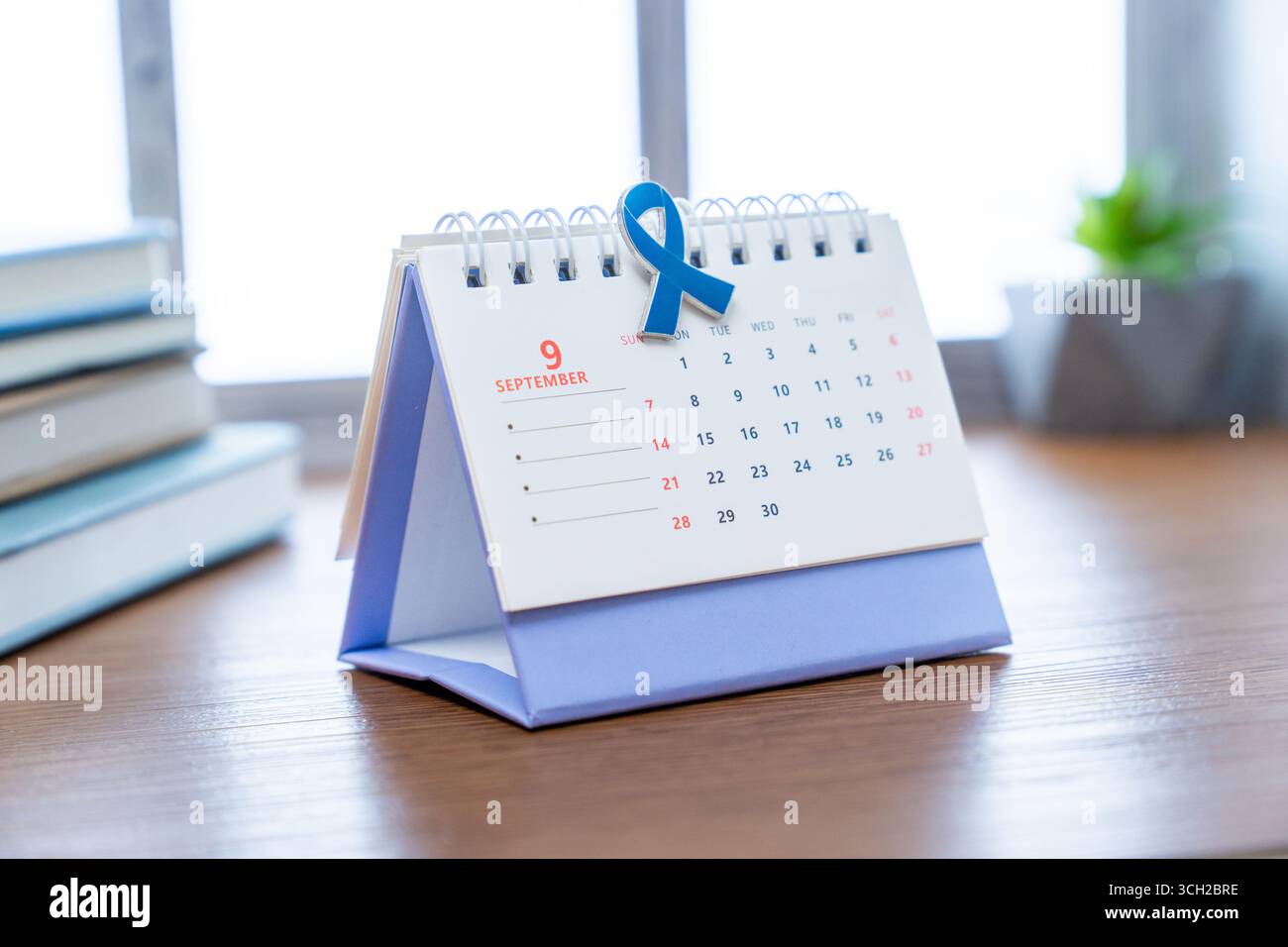 Un calendario è aperto per il mese di settembre, con un nastro di riconoscimento blu tagliato in cima alla pagina. Concetto del mese di sensibilizzazione sul cancro alla prostata. Foto Stock