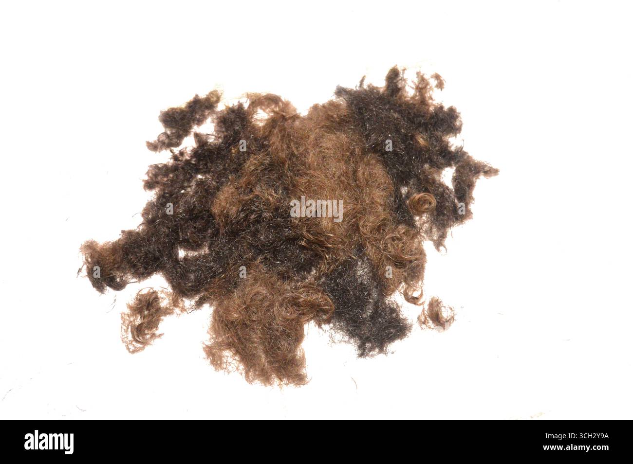 I residui di taglio possono essere riciclati in vari modi anziché finire in discarica, i capelli raccolti possono essere riutilizzati in prolunghe, parrucche ed e Foto Stock