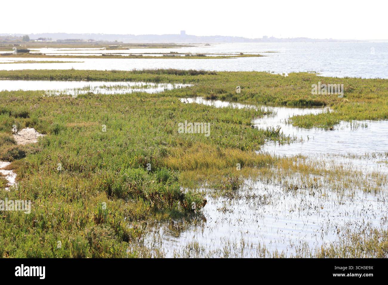 Porto di Larros a Gujan-Mestras, la capitale delle ostriche del bacino di Arcachon. Francia. Foto Stock