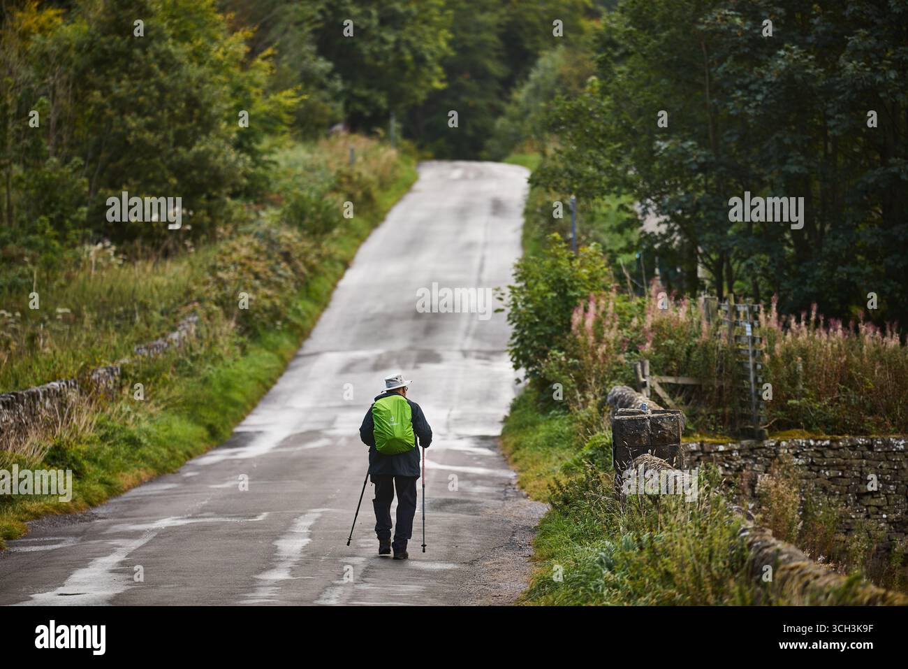 A pochi passi dal lago artificiale Ridgegate Macclesfield Forest Cheshire Foto Stock