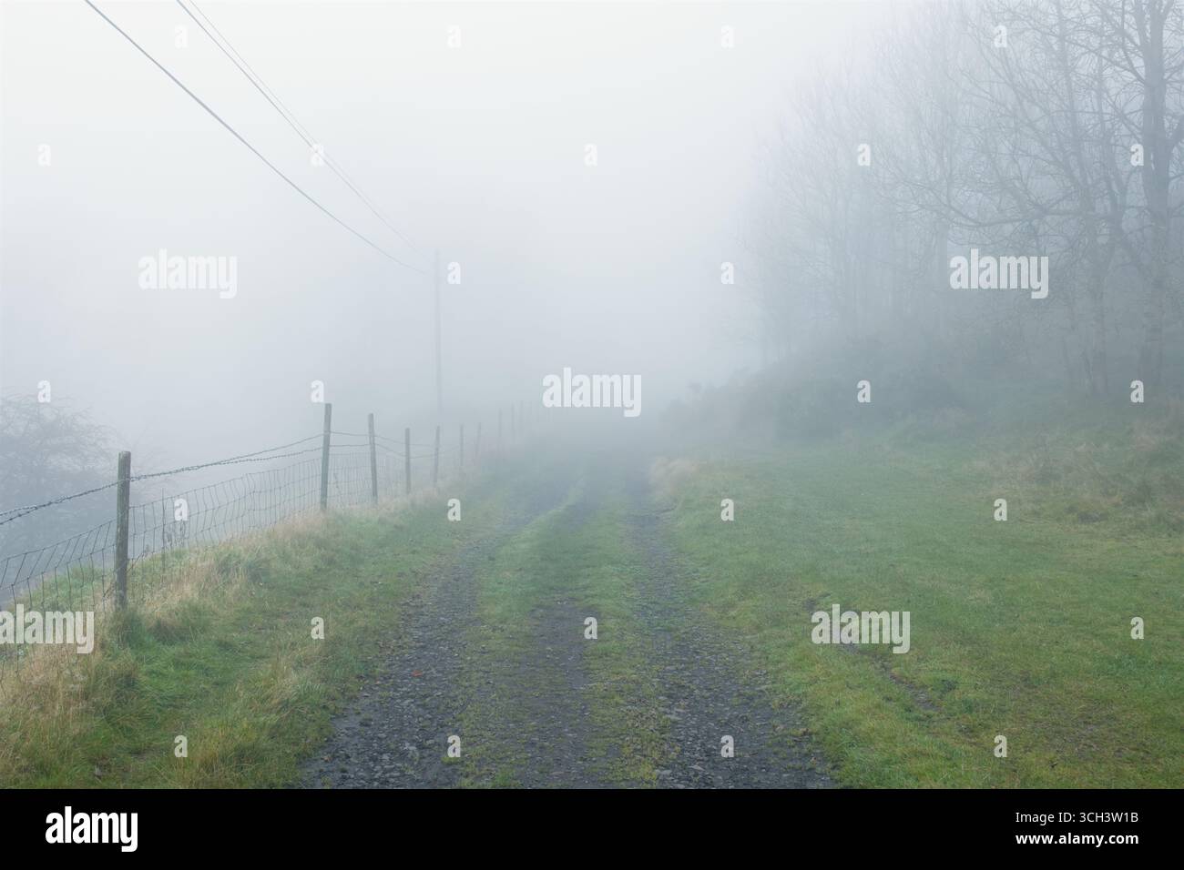 Nebbia pesante sulla "linea"; il percorso di una ex ferrovia di cava di pietra, ora una via di ponte vicino a Dhustone, Clee Hill, Shropshire Foto Stock