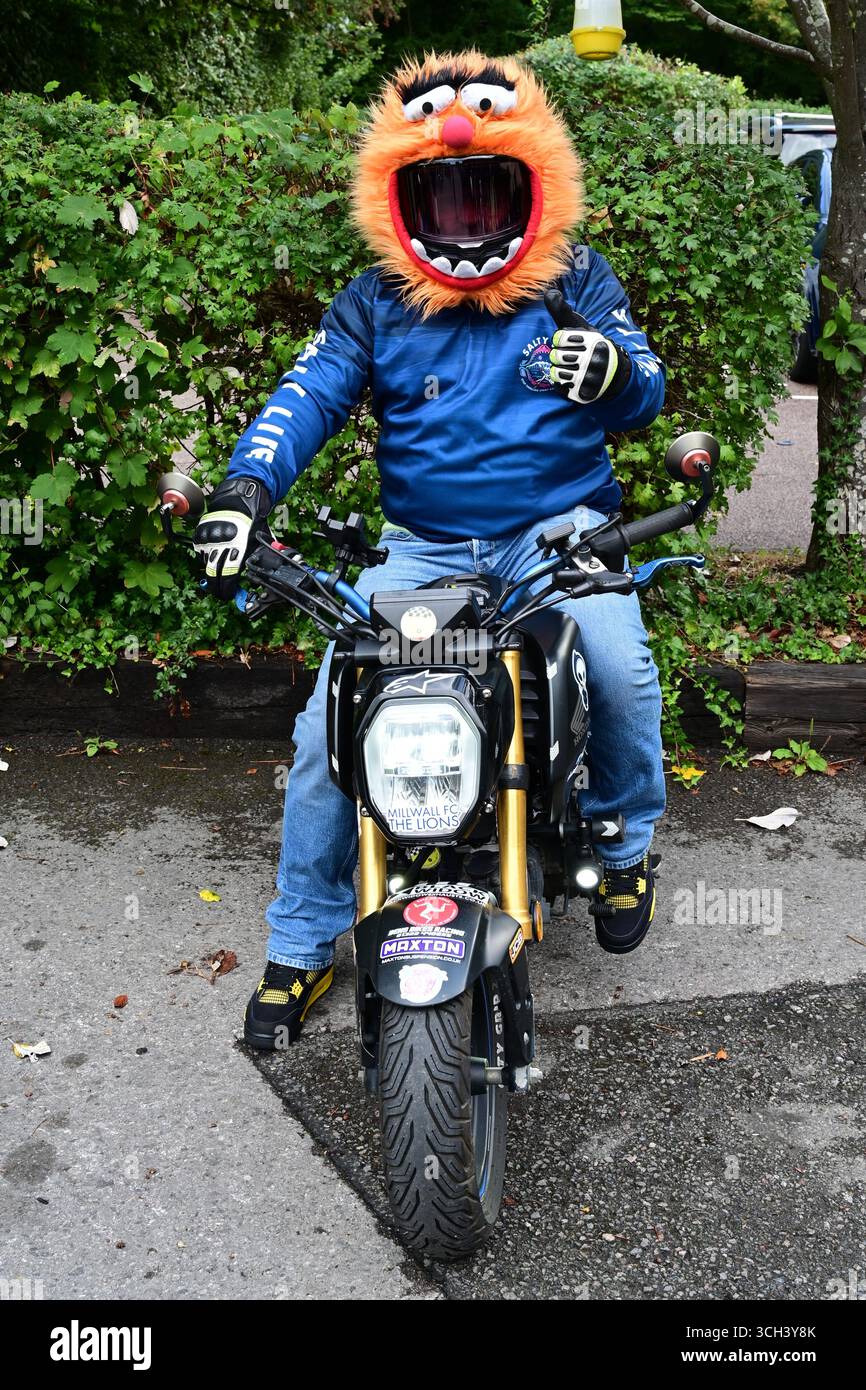 Una divertente copertura per casco. Foto Stock