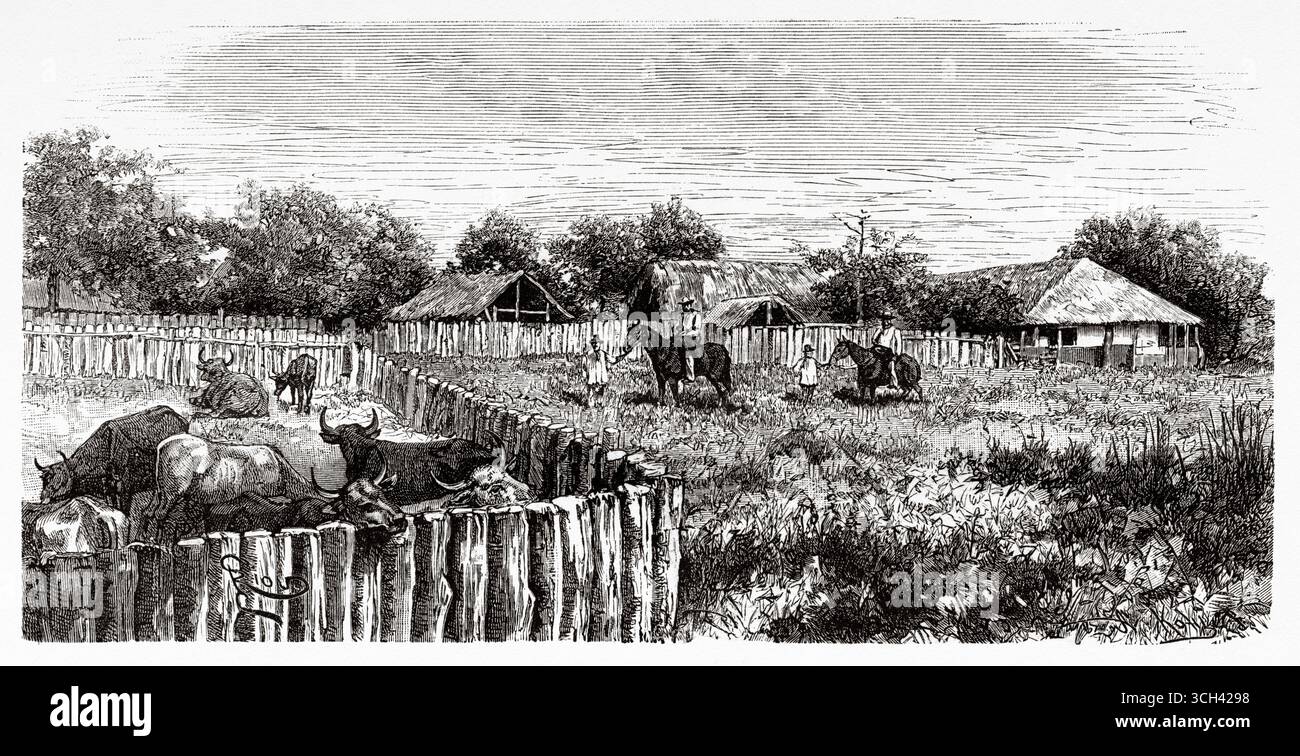 Hacienda del generale Jesús Crespo Torres, Stato di Bolívar, Venezuela. Sud America. Disegno di Edouard Riou (1833-1900) viaggio attraverso le pianure di Caura, 1885 di M. Jean Chaffanjon (1854-1913) le Tour du Monde 1888 Foto Stock
