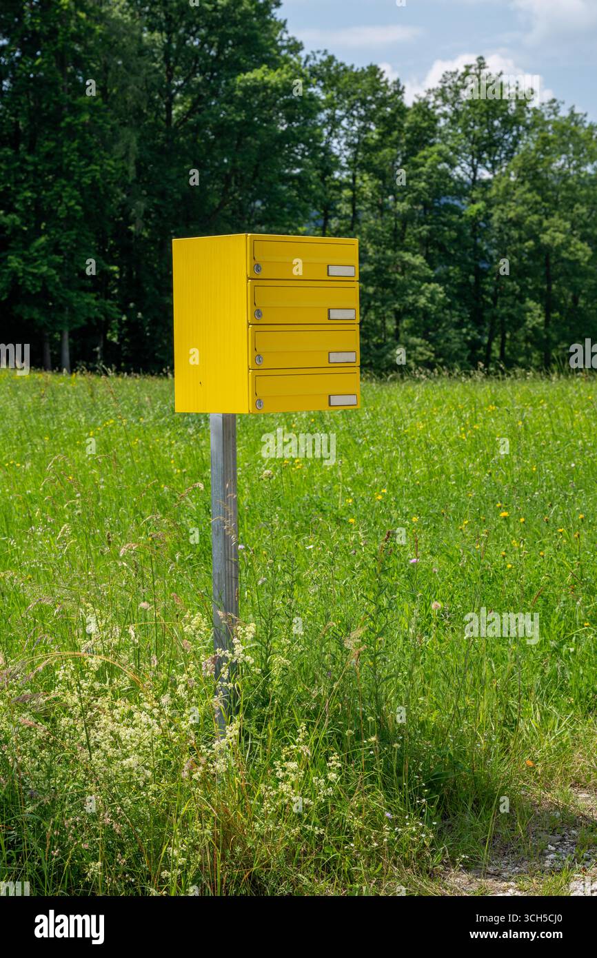 Una cassetta postale gialla si trova in un campo. Dispone di 5 slot per diversi residenti per ricevere la posta. Si trova in un'area rurale, circondata dall'erba A. Foto Stock