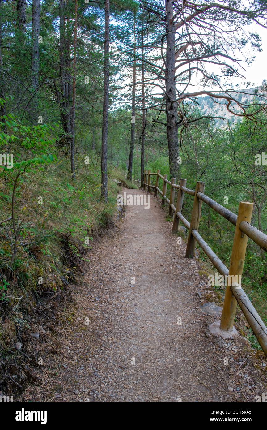 Sentiero che conduce alla cascata del Molino de la Churrera a Tragacete nella catena montuosa di Cuenca. Foto Stock