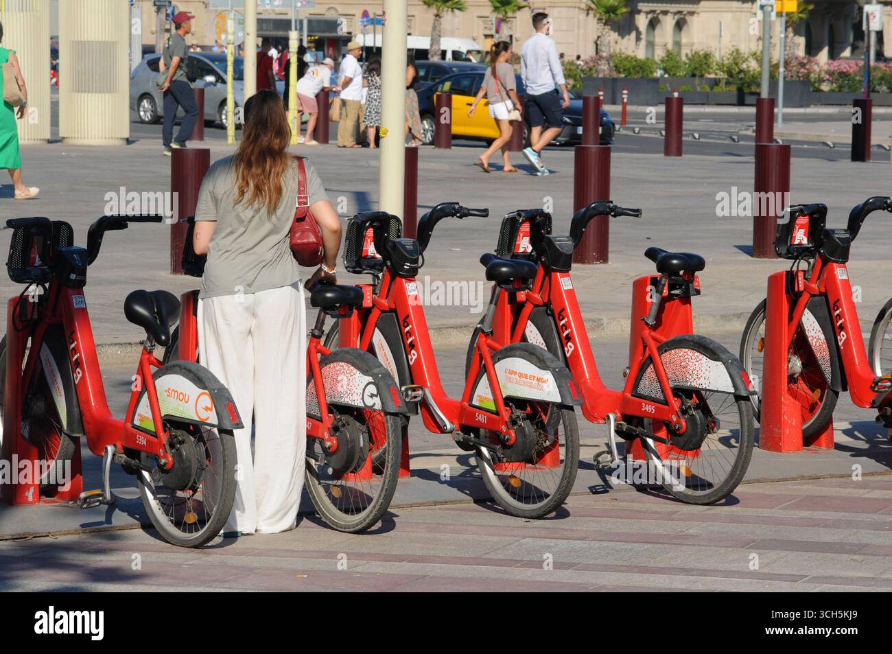 Noleggio biciclette parcheggiate di fila, Barcellona, Spagna. Foto Stock