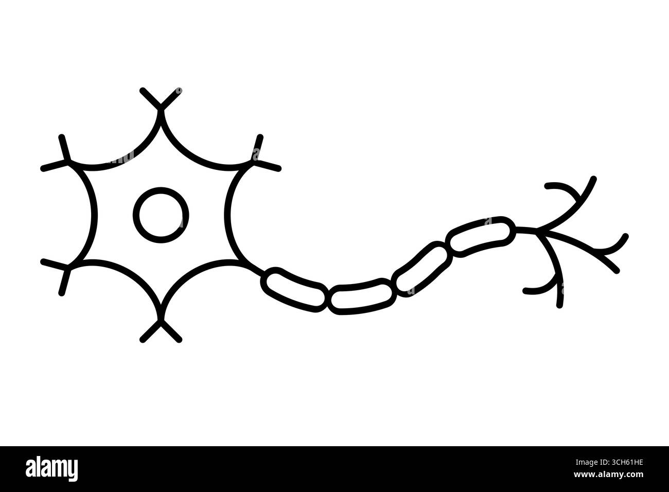 Icona della linea del neurone. Cellula nervosa che mostra assone, dendriti e corpo cellulare. Cellule cerebrali, sinapsi, sistema nervoso e comunicazione tra neuroni. Vettore Illustrazione Vettoriale
