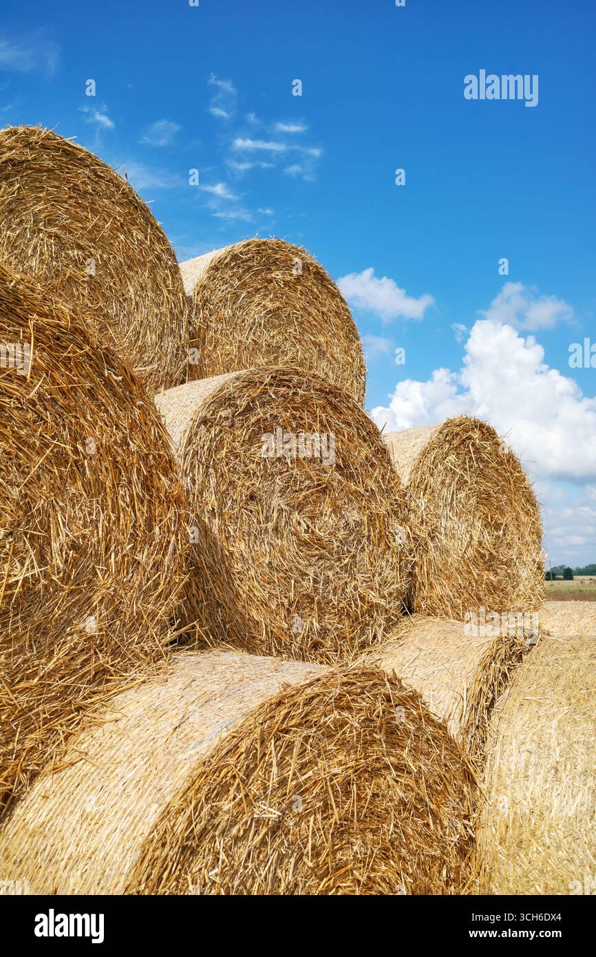 Balle di fieno contro il cielo. Foto Stock
