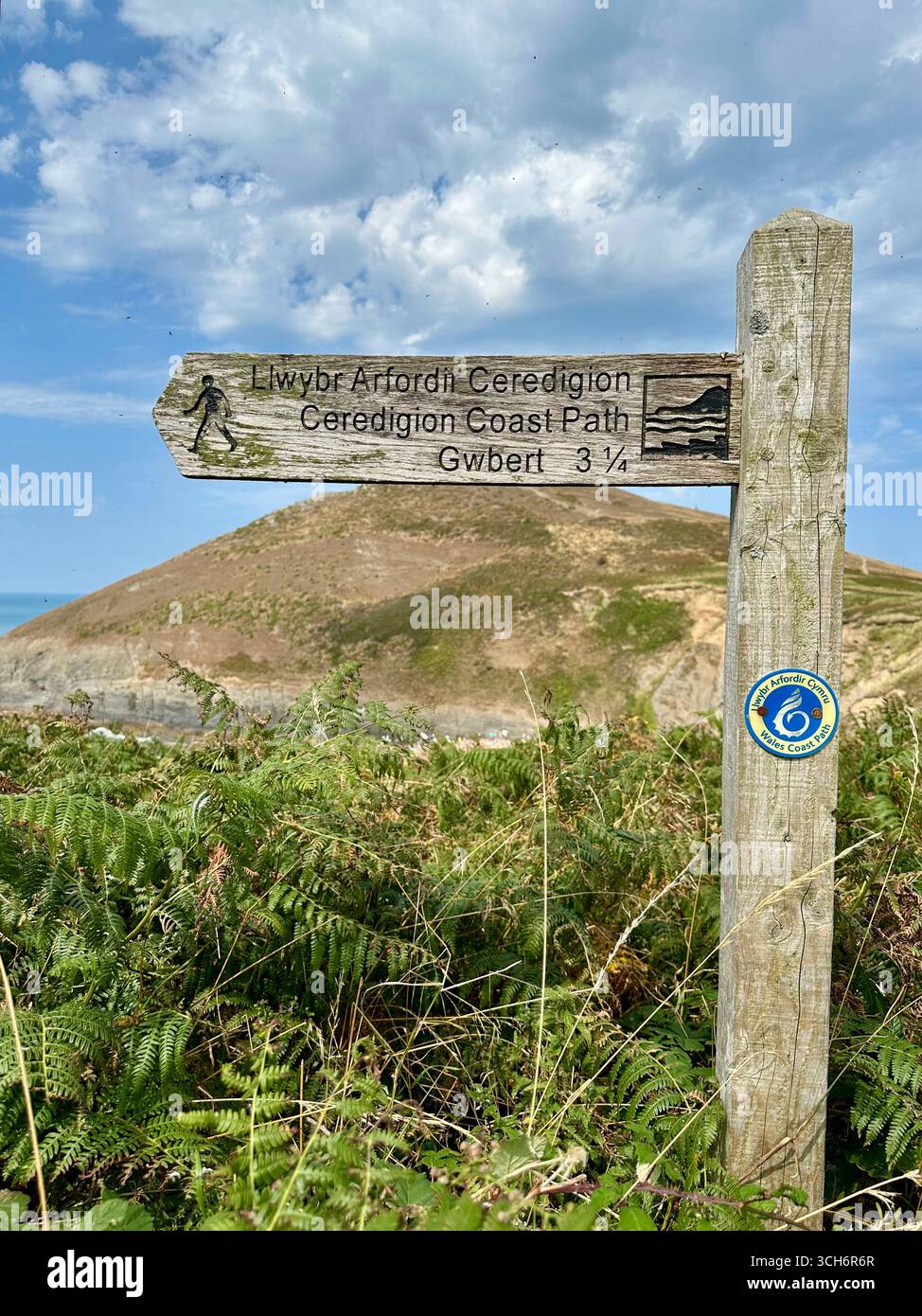 Sentiero costiero del Ceredigion a Mwnt, Galles Foto Stock