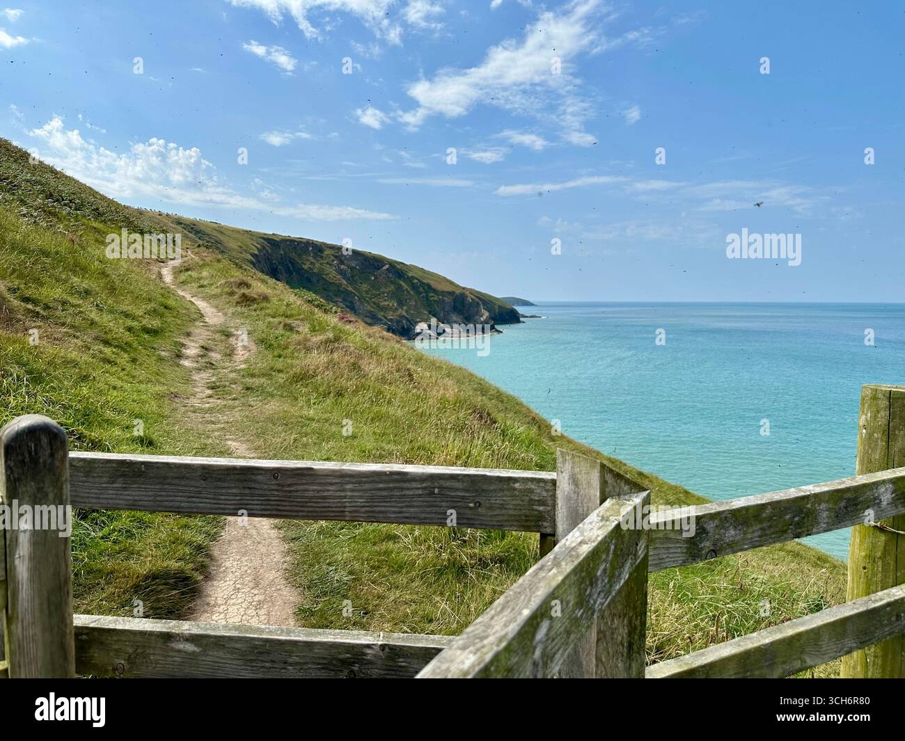 Sentiero costiero del Ceredigion a Mwnt, Galles Foto Stock