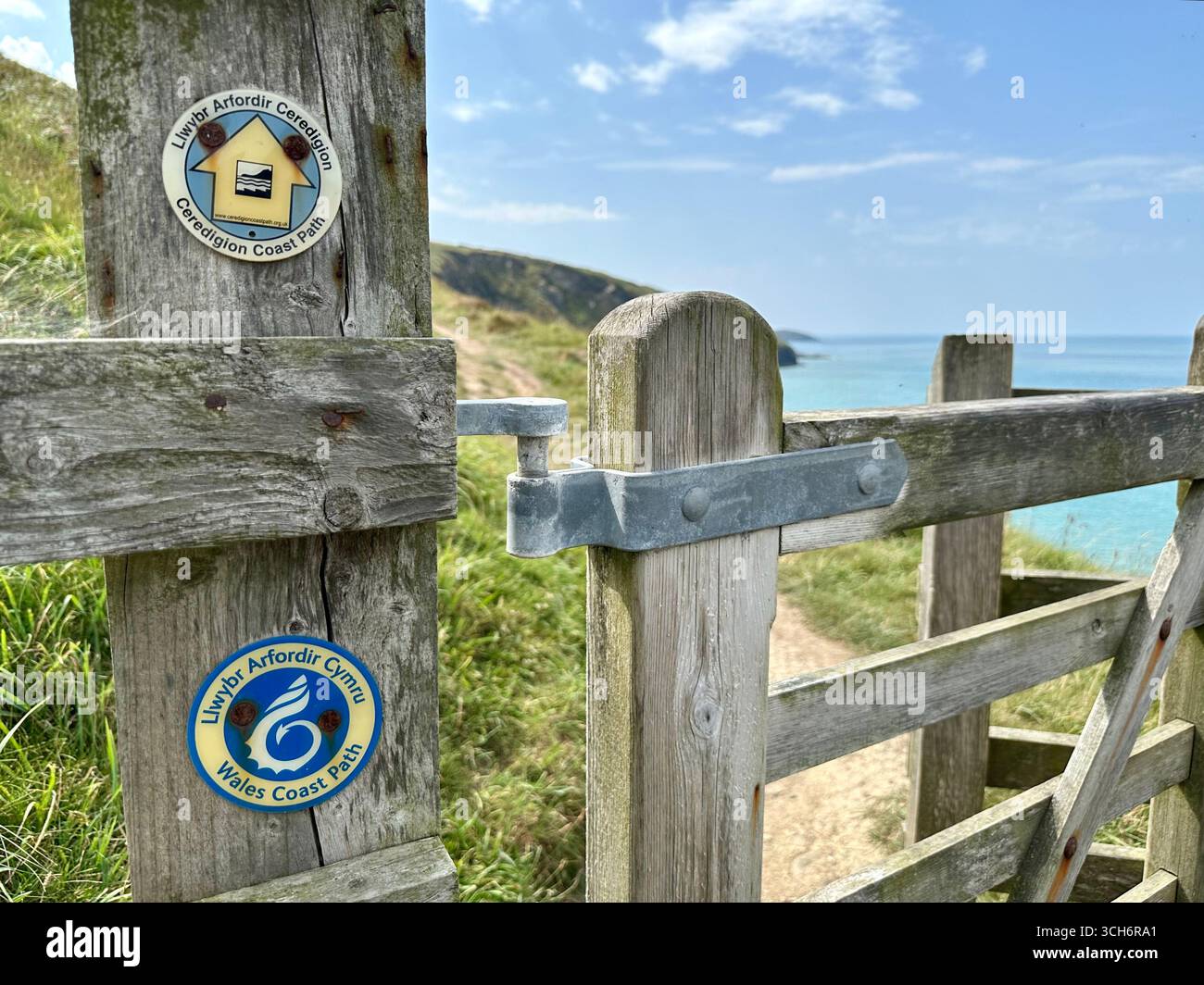 Sentiero costiero del Ceredigion a Mwnt, Galles Foto Stock