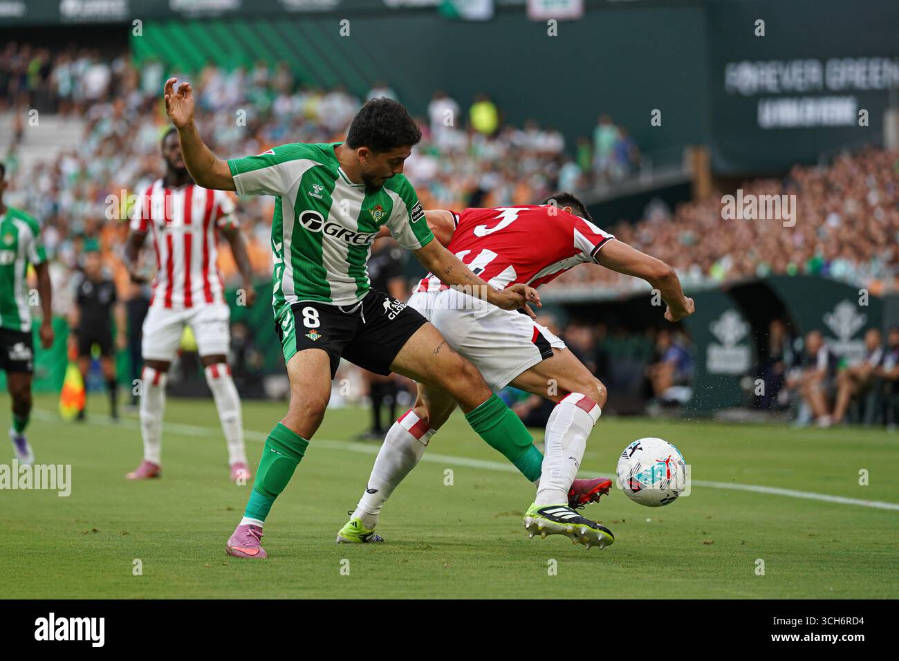 Siviglia, Spagna. 31 agosto 2025. Pablo Fornals (Real Betis) durante la partita della Liga tra Real Betis e Athletic Club, allo stadio la Cartuja. Crediti: Fernando Vazquez / Alamy Live News Foto Stock