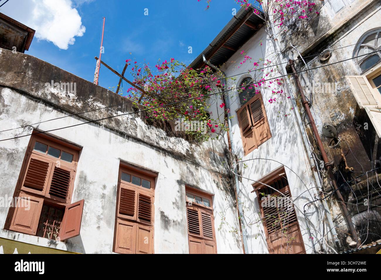 Tanzania - Zanzibar City - Stone Town - Casa Swahili con persiane in legno e bouganville che si arrampicano sopra il vicolo Foto Stock