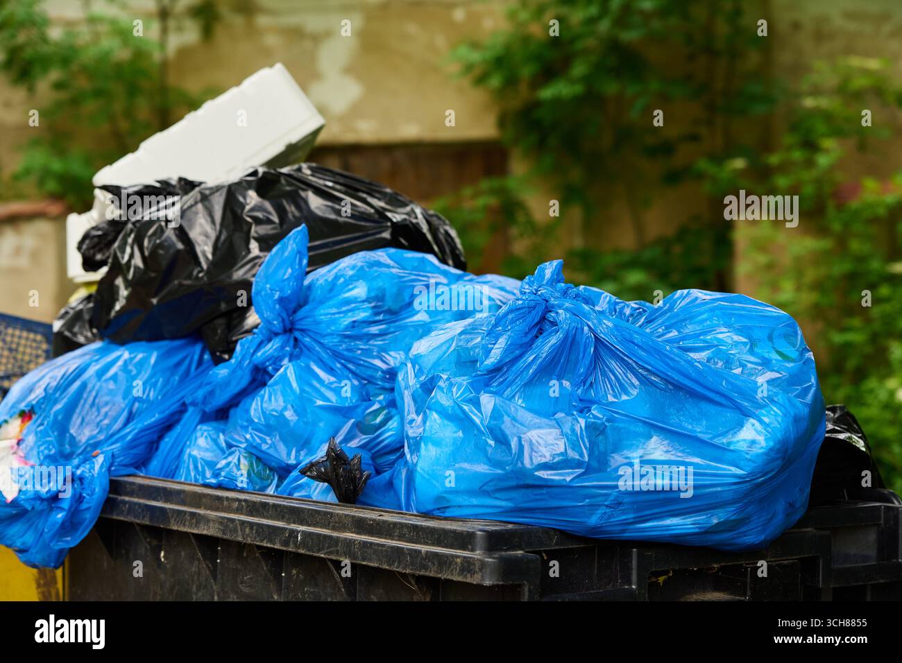 Sacchetti di plastica nera e blu in un cassonetto grande. Contenitore per rifiuti pieno all'aperto Foto Stock