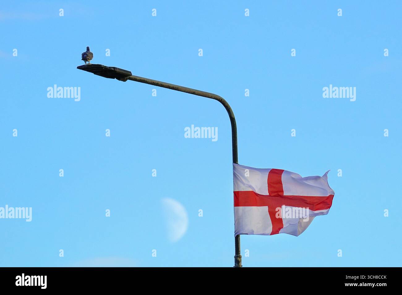 Le bandiere della Croce di San Giorgio volano dai lampioni di York, nello Yorkshire. Data foto: Domenica 31 agosto 2025. Foto Stock