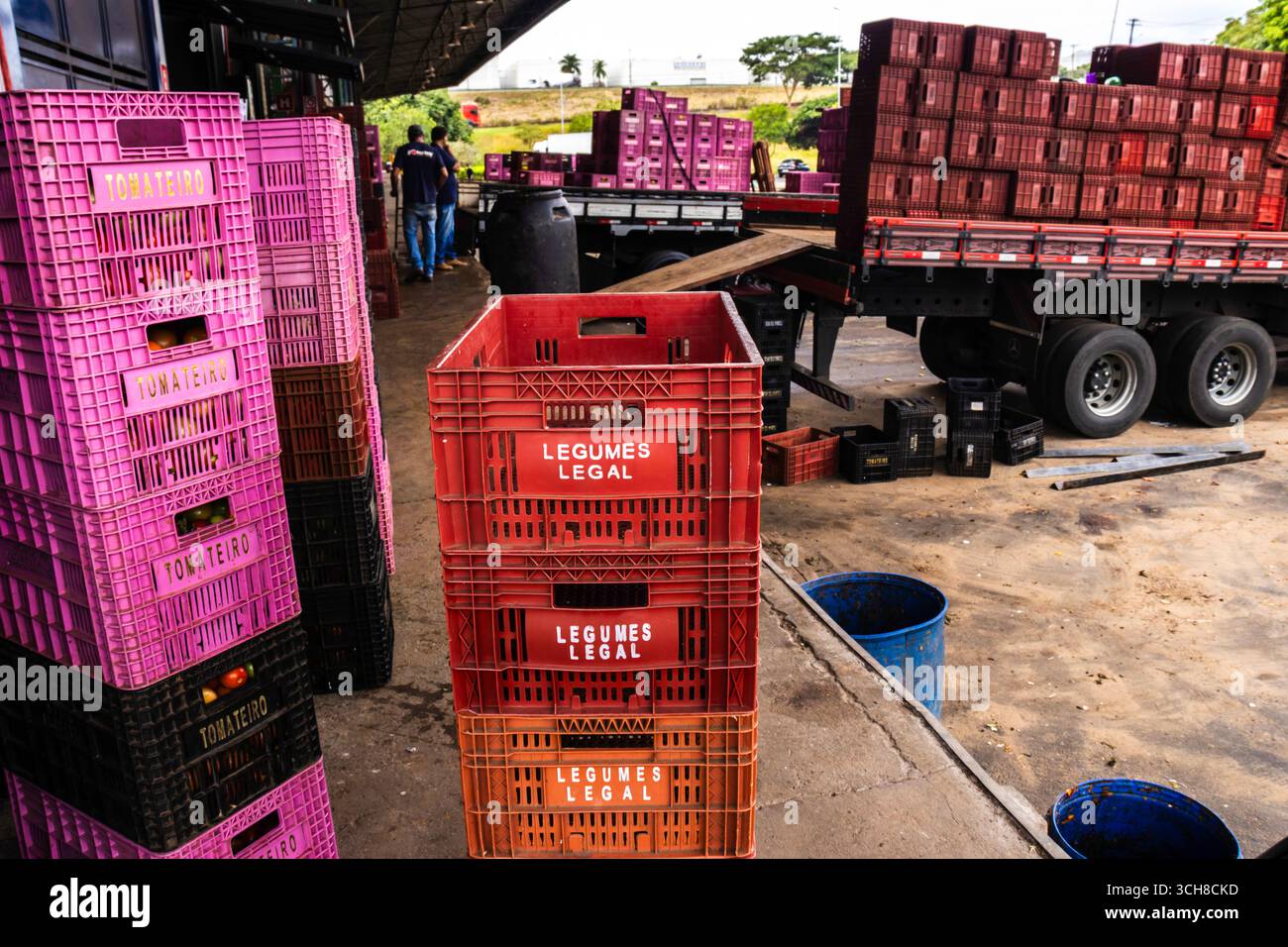 Marilia, San Paolo, Brasile, 24 aprile 2025. Centro di distribuzione alimentare CEAGESP, con particolare attenzione all'organizzazione e al trasporto di prodotti freschi Foto Stock