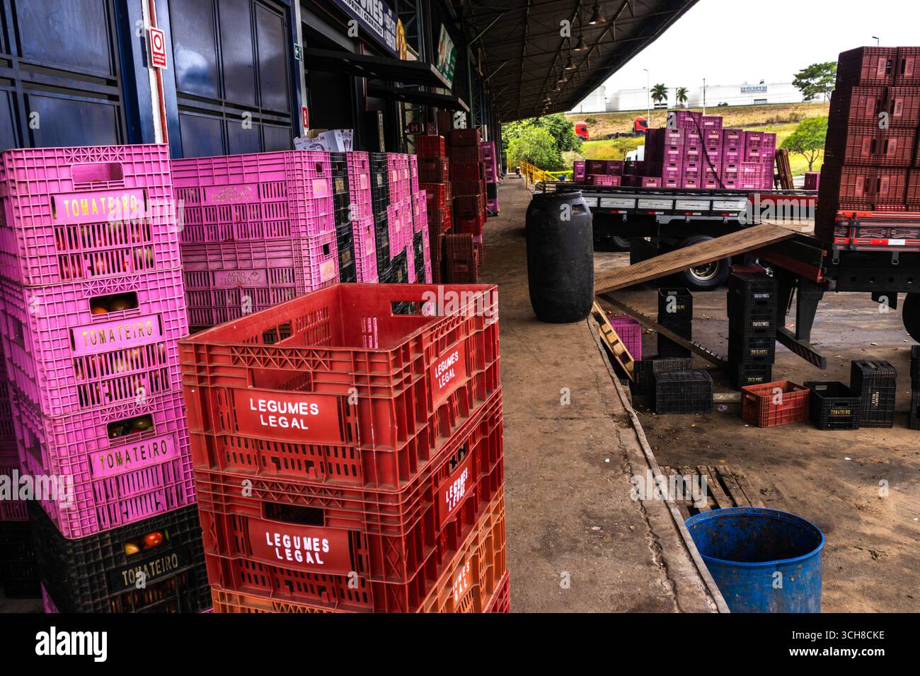 Marilia, San Paolo, Brasile, 24 aprile 2025. Centro di distribuzione alimentare CEAGESP, con particolare attenzione all'organizzazione e al trasporto di prodotti freschi Foto Stock