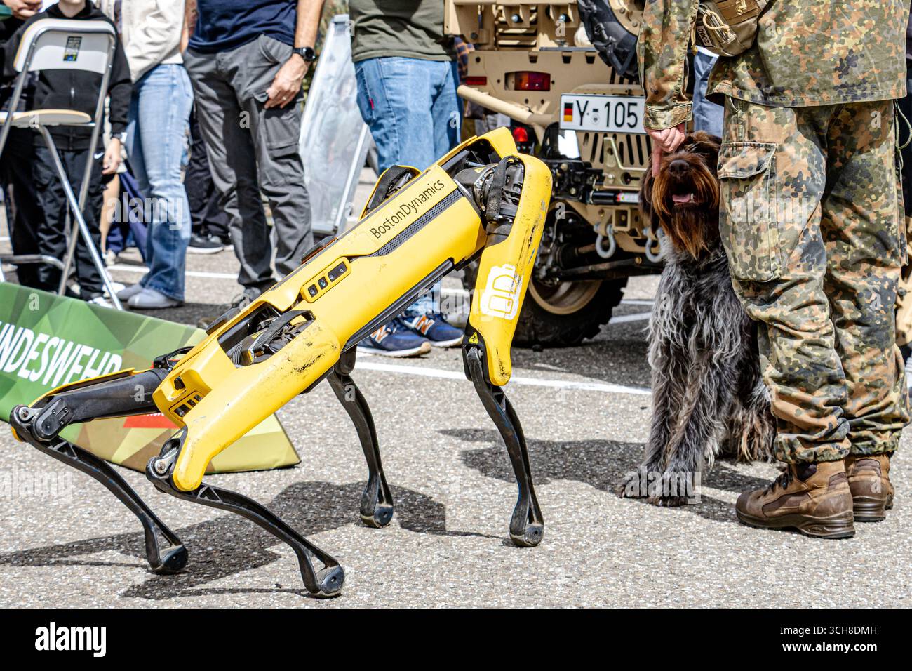 Un cane robotico Bundeswehr si trova accanto a un cane da caccia addestrato, dimostrando la moderna robotica militare, il supporto tattico e la collaborazione tra la tecnologia Foto Stock
