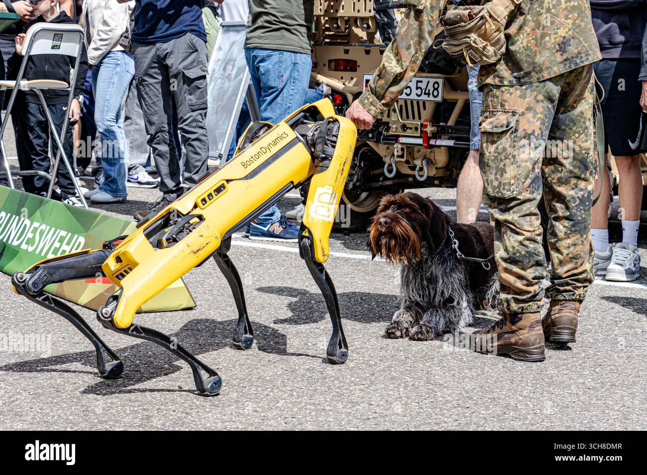 Un cane robotico Bundeswehr si trova accanto a un cane da caccia addestrato, dimostrando la moderna robotica militare, il supporto tattico e la collaborazione tra la tecnologia Foto Stock