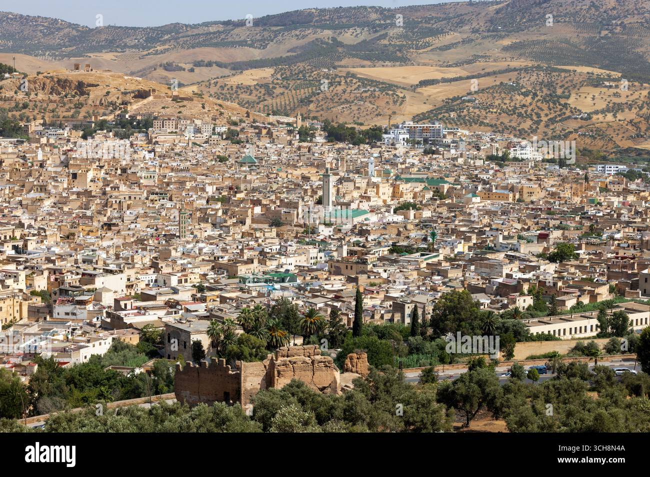 Vista panoramica sulla medina di Fez (Fès), Marocco, da un belvedere collinare, che mostra tetti fitti, minareti moschea e le colline circostanti. Foto Stock