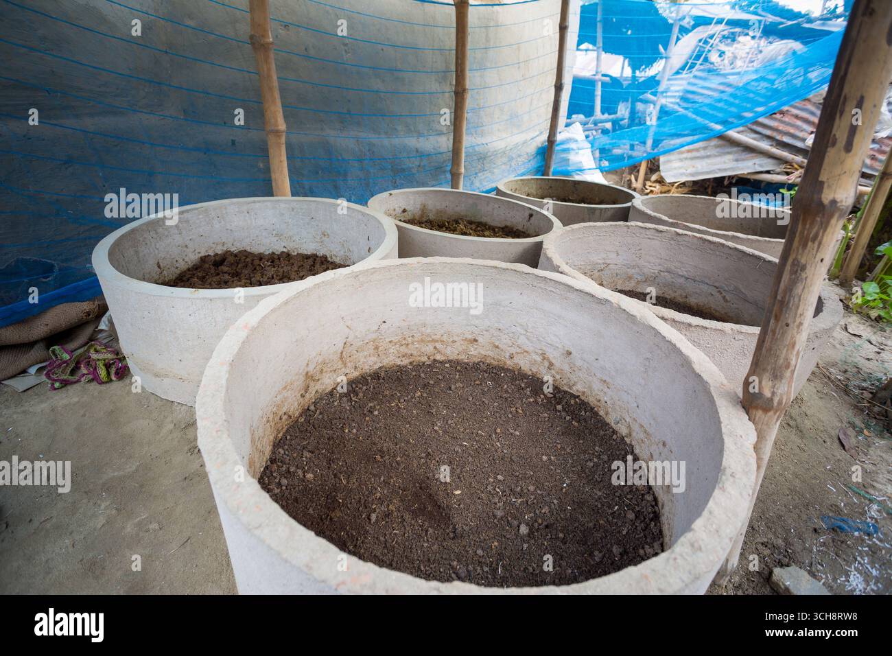 Vermicompost viene prodotto localmente in grandi contenitori di cemento a Chuadanga, Bangladesh. Foto Stock