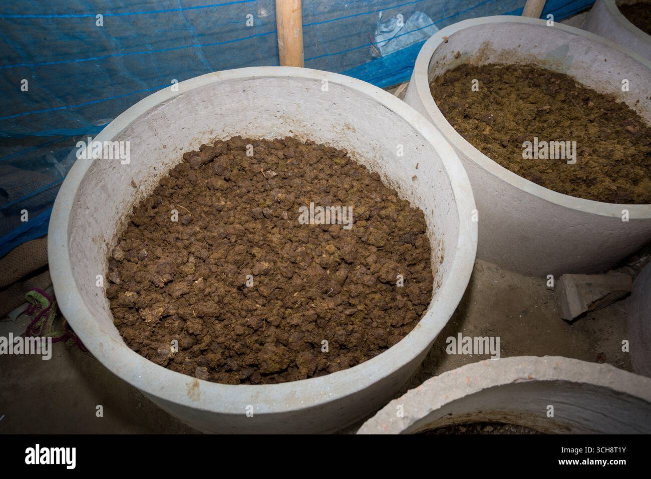 Vermicompost viene prodotto localmente in grandi contenitori di cemento a Chuadanga, Bangladesh. Foto Stock