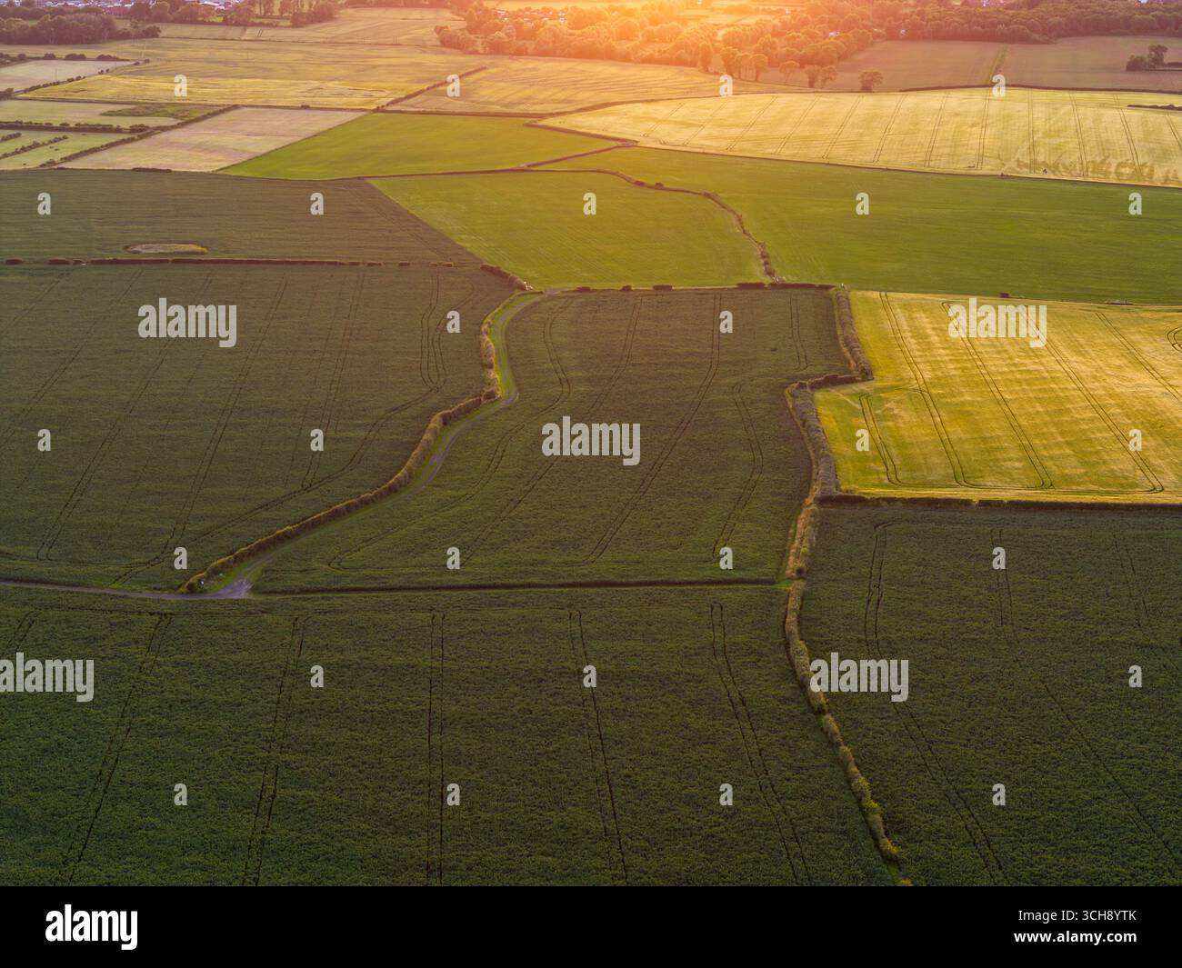 Mosaico di campi agricoli e siepi, vista aerea al tramonto, Wirral, Inghilterra Foto Stock