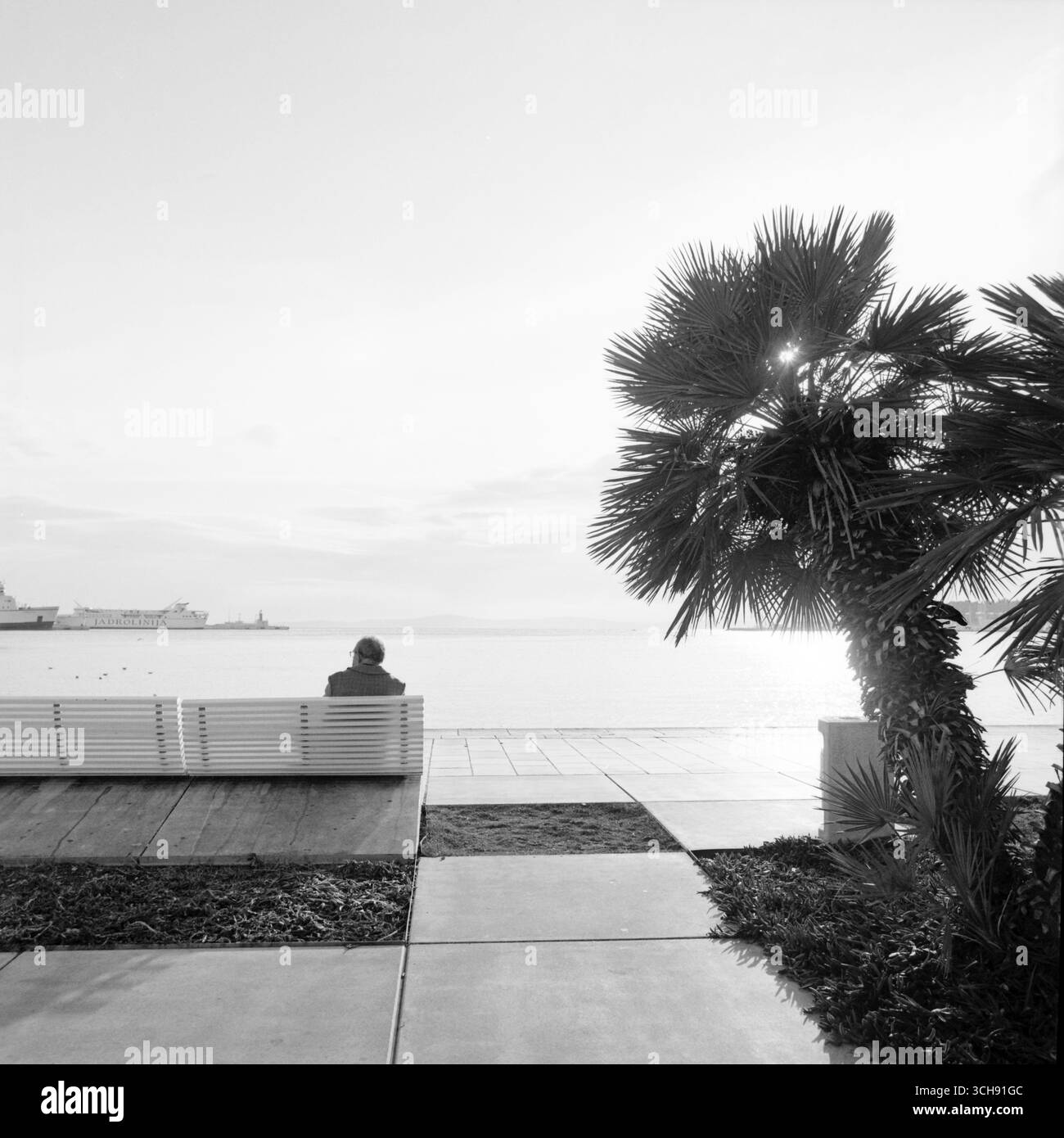 Una persona seduta sulla Riviera di Spalato, che guarda all'orizzonte in una giornata invernale di sole. L'immagine cattura un momento tranquillo e contemplativo. Foto Stock