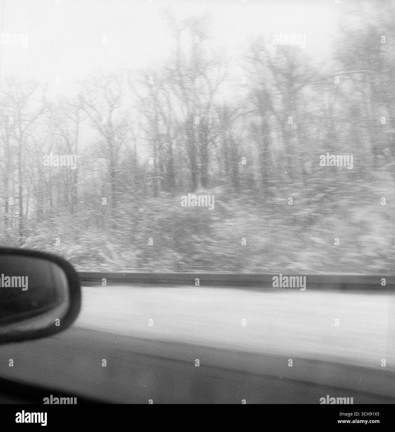 Un paesaggio boschivo innevato visto dal sedile del passeggero di un'auto in movimento. L'immagine cattura un momento invernale tranquillo, mescolando movimento e quiete. Foto Stock