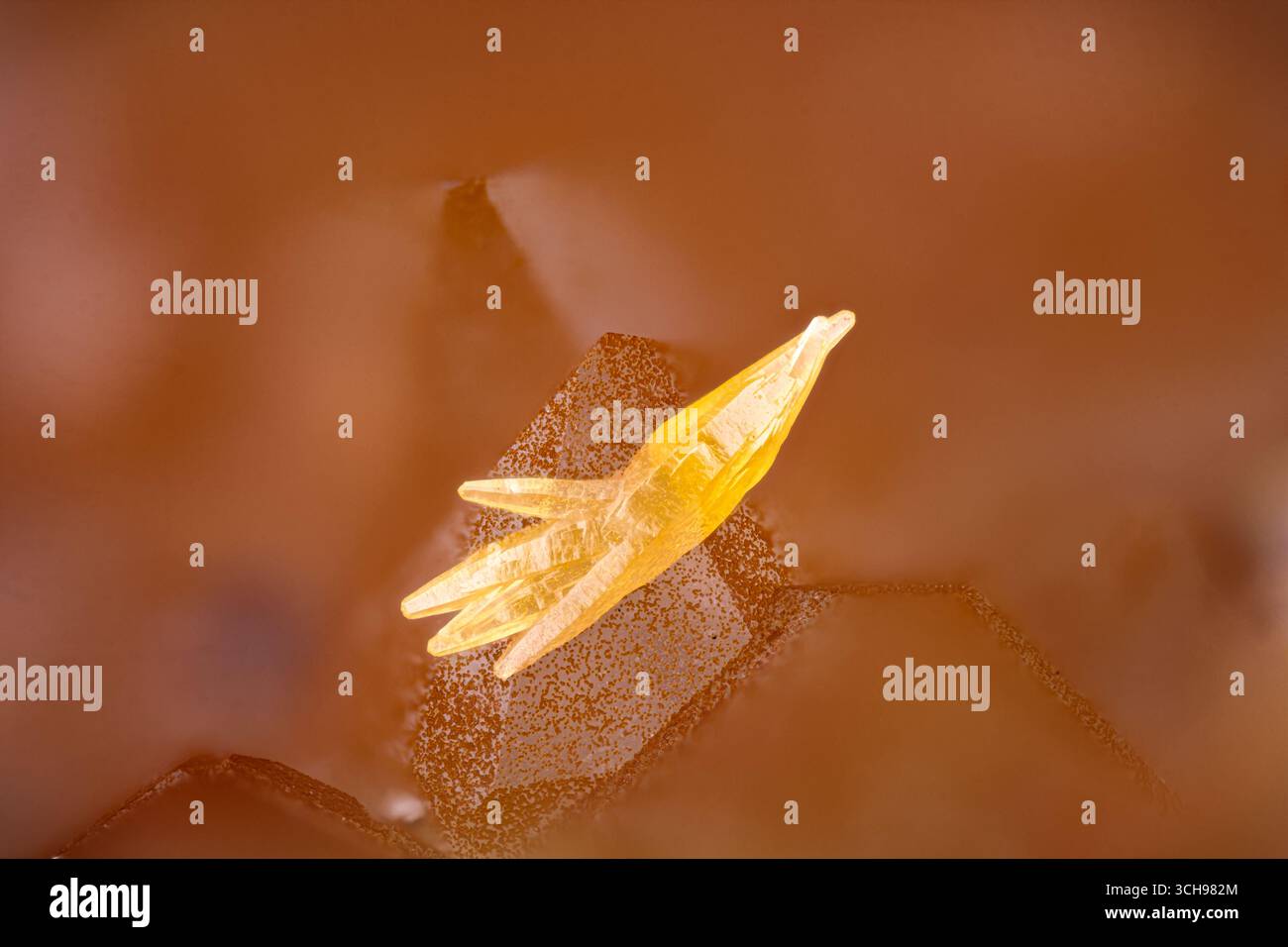 Mimetite gialla su quarzo ossidato. Esemplare della miniera di Clara, Oberwolfach, Germania. Micro Photography primi piani estremi. foto al microscopio in cristallo minerale Foto Stock