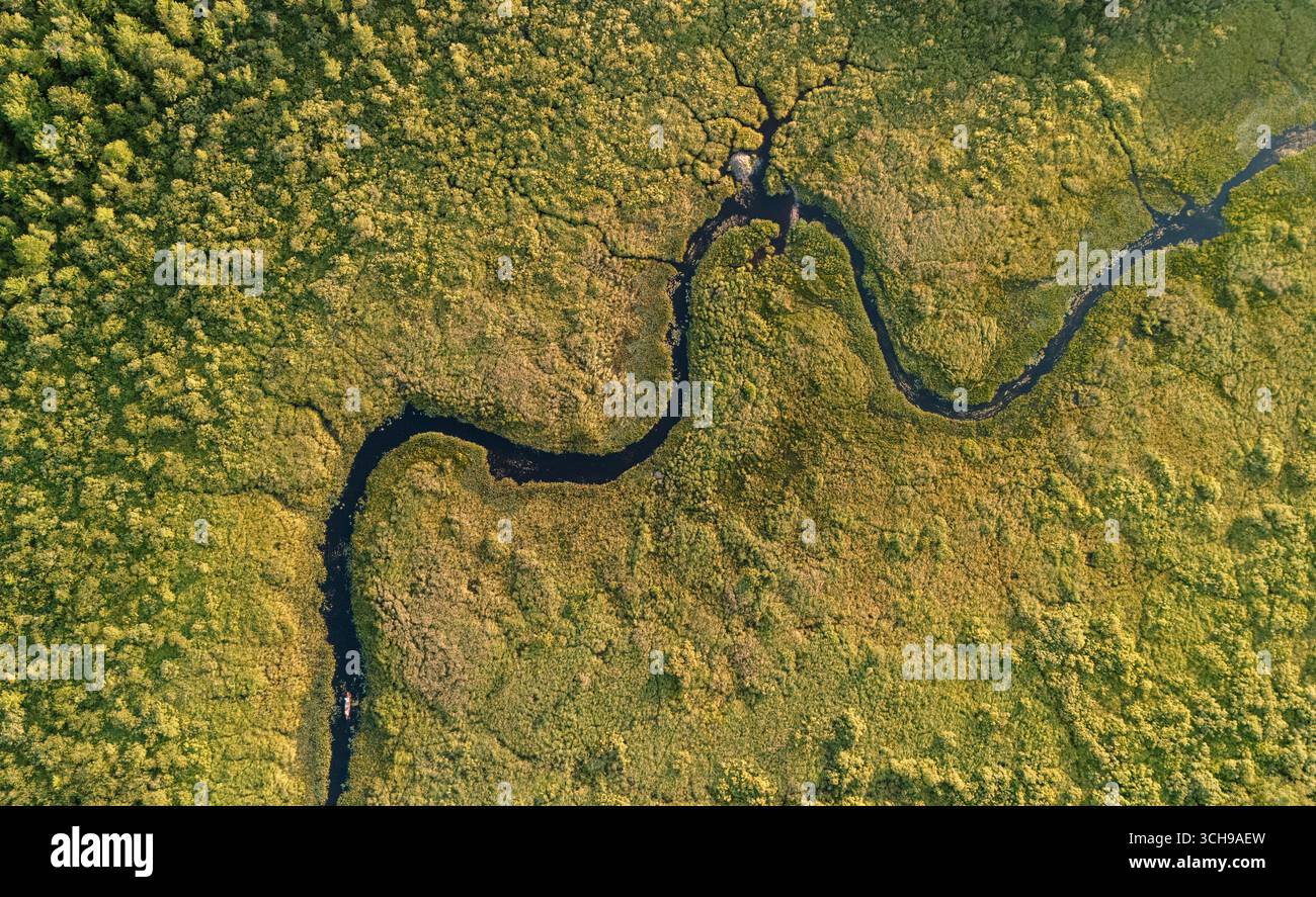 Vista aerea della piccola canoa in una palude con casa di castoro e diga, Maine Foto Stock
