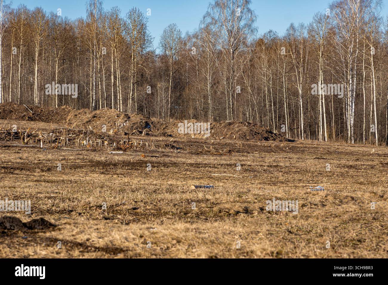 Un paesaggio un tempo selvaggio ora trasformato in cantiere, simbolo della fine degli ecosistemi naturali e della migrazione forzata di specie animali, Foto Stock