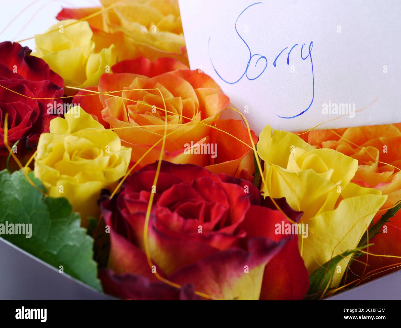 un mucchio di fiori con un foglio di carta e il testo mi dispiace scritto su di esso - scusate quello che è successo Foto Stock