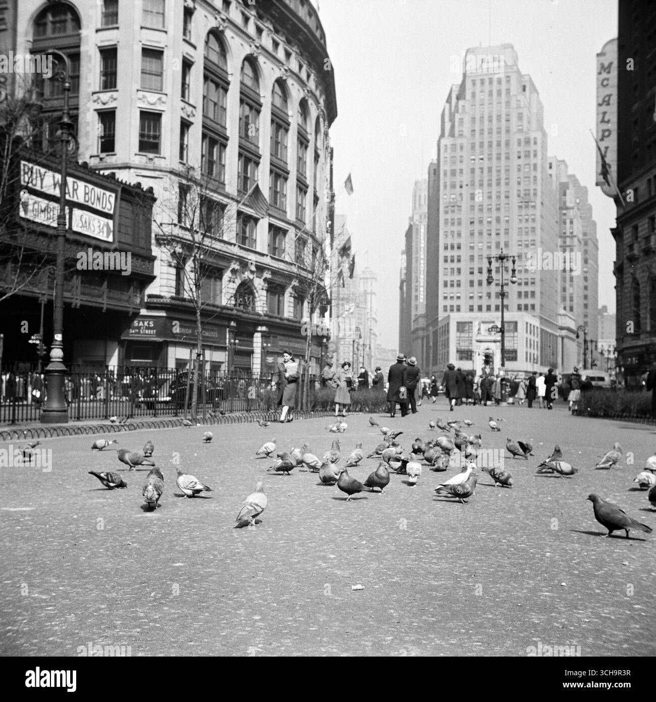 New York. Pigeons in the Park - Buy War Bonds and Other Signs - John Vachon Street Photo, marzo 1943 Foto Stock