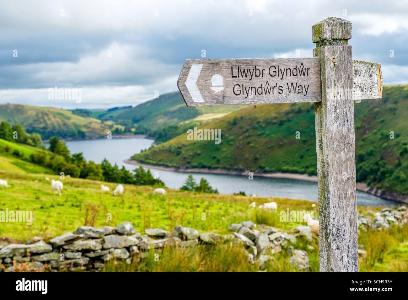Glyndwrs Way, sentiero a lunga distanza vicino al bacino idrico di Clywedog nel Galles centrale Foto Stock