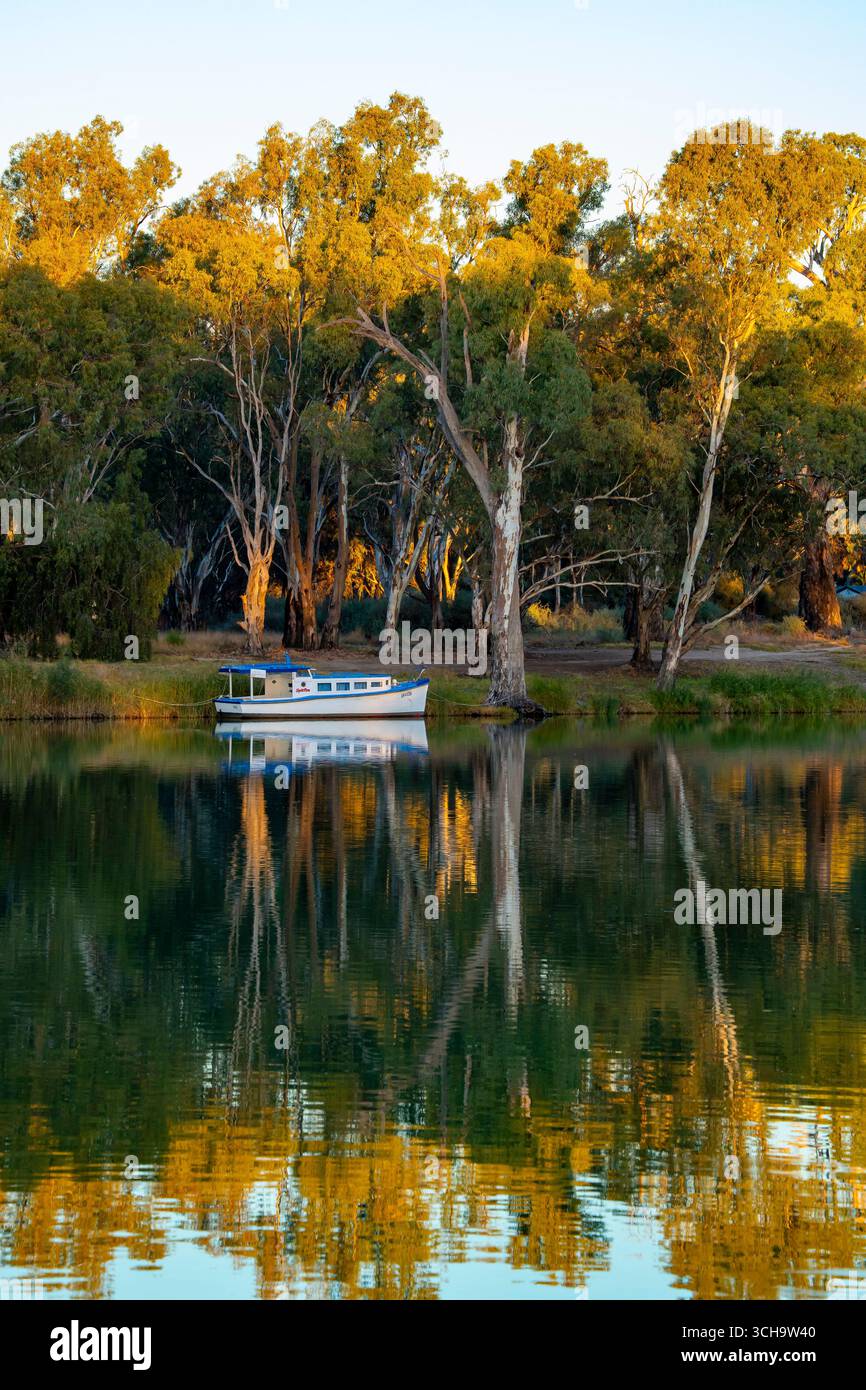Una piccola barca da diporto legata appena sopra la Mildura Weir sul fiume Murray che forma il confine tra il nuovo Galles del Sud e Victoria in Australia Foto Stock