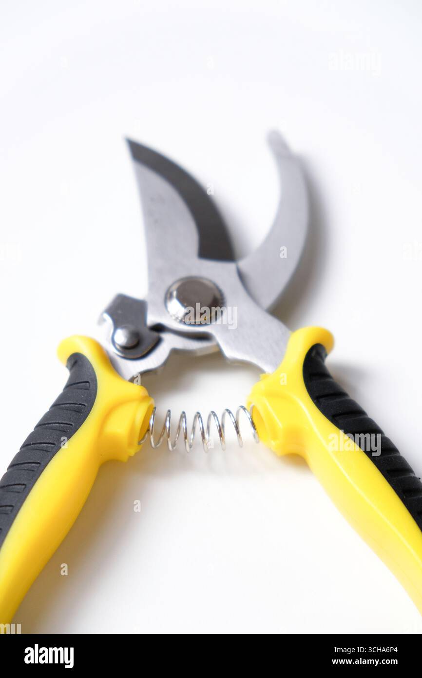 Cesoie per potatura, attrezzature per attrezzi da giardinaggio, isolate su sfondo bianco Foto Stock