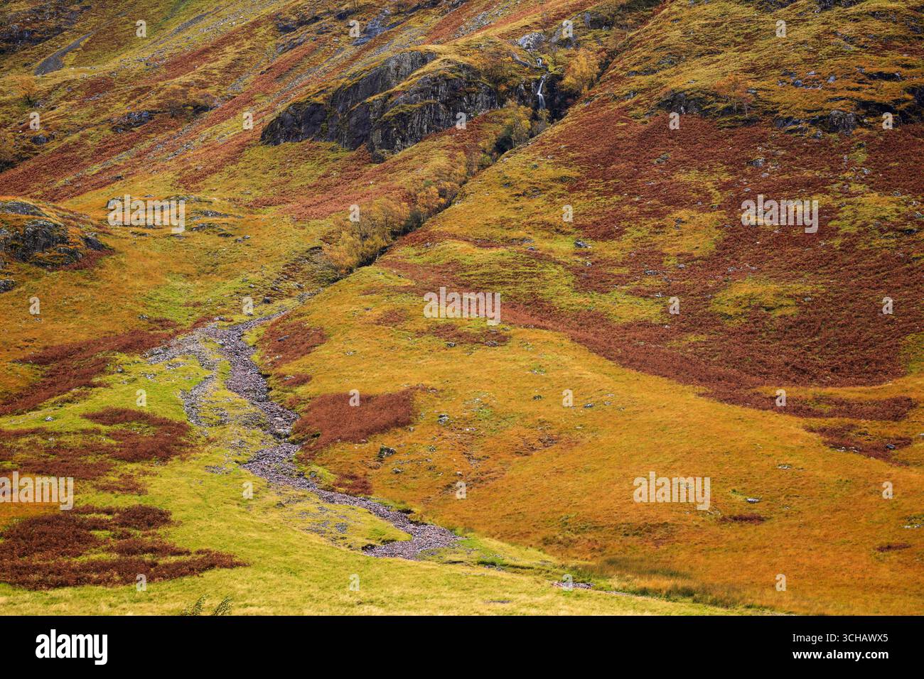 Cascata Vernal sulla collina ricoperta di salamoie vicino a Glencoe durante l'autunno nelle Highlands scozzesi Foto Stock