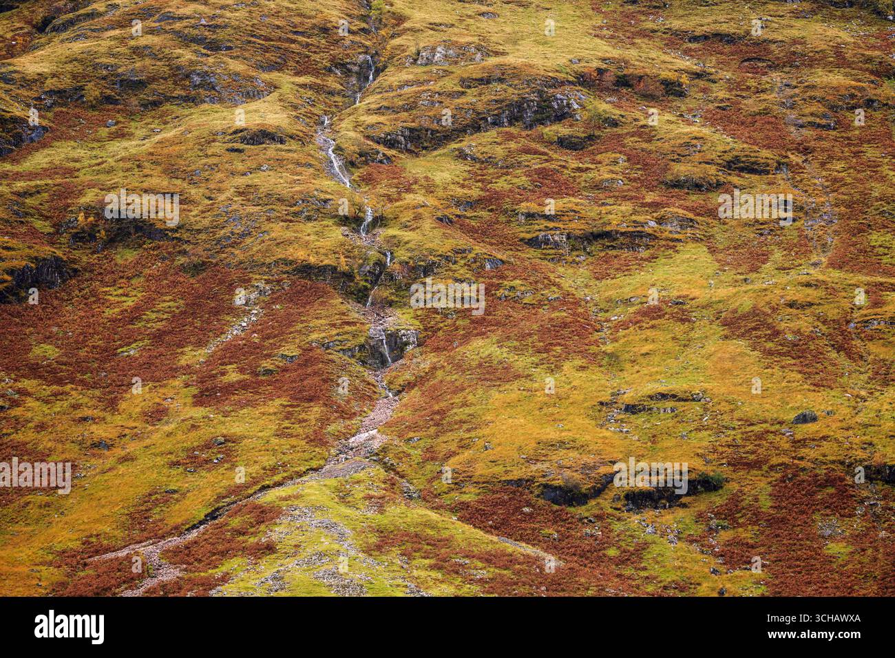 Cascata Vernal sulla collina ricoperta di salamoie vicino a Glencoe durante l'autunno nelle Highlands scozzesi Foto Stock