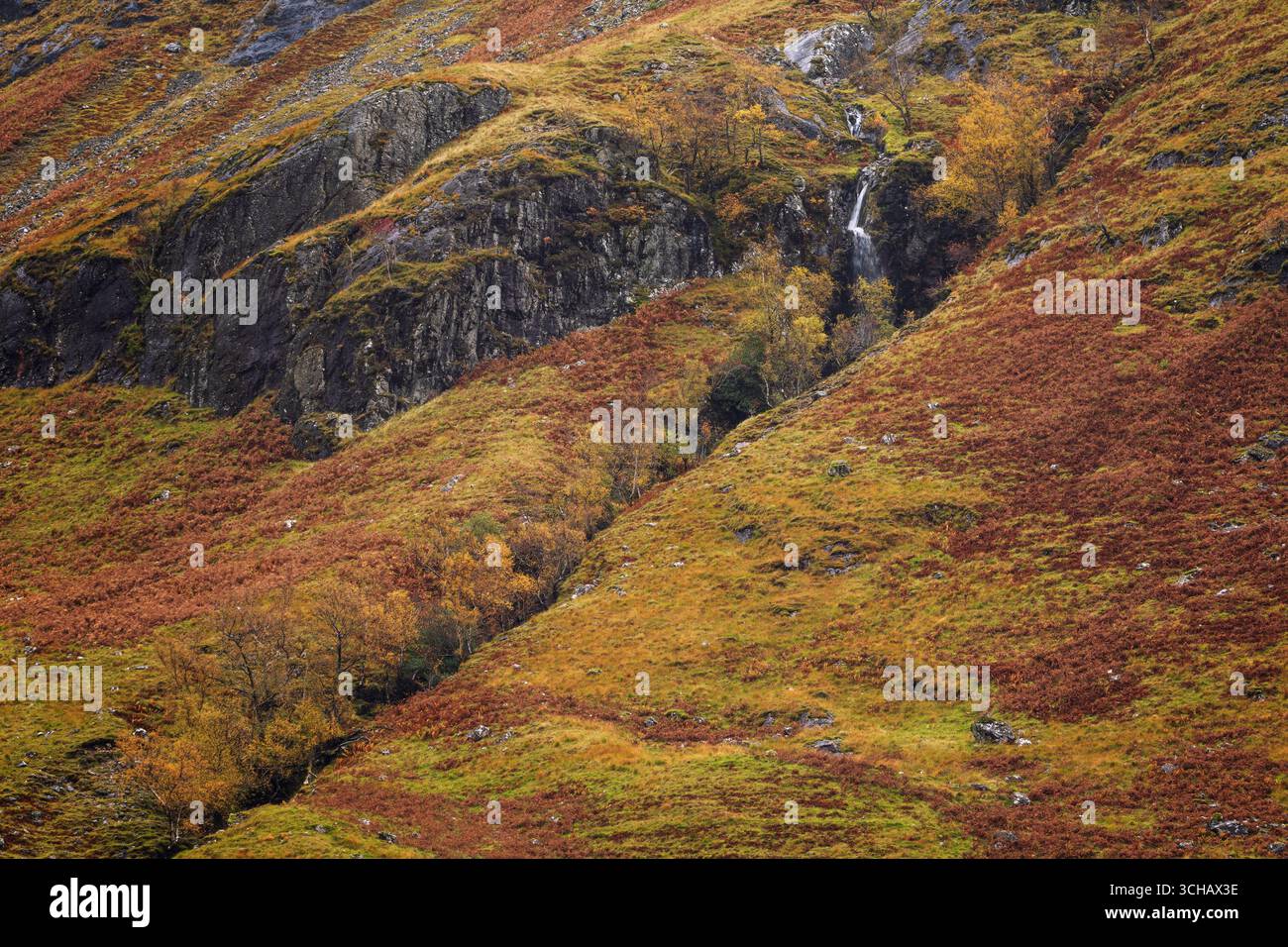 Cascata Vernal sulla collina ricoperta di salamoie vicino a Glencoe durante l'autunno nelle Highlands scozzesi Foto Stock