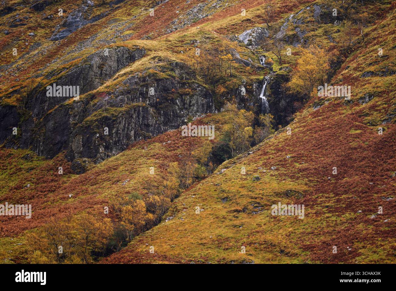 Cascata Vernal sulla collina ricoperta di salamoie vicino a Glencoe durante l'autunno nelle Highlands scozzesi Foto Stock