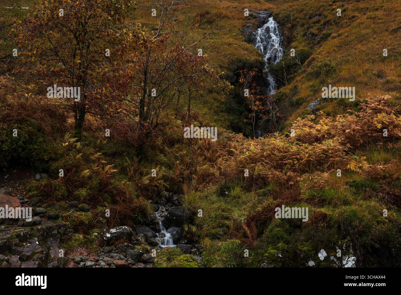 Cascata Vernal sulla collina ricoperta di salamoie vicino a Glencoe durante l'autunno nelle Highlands scozzesi Foto Stock