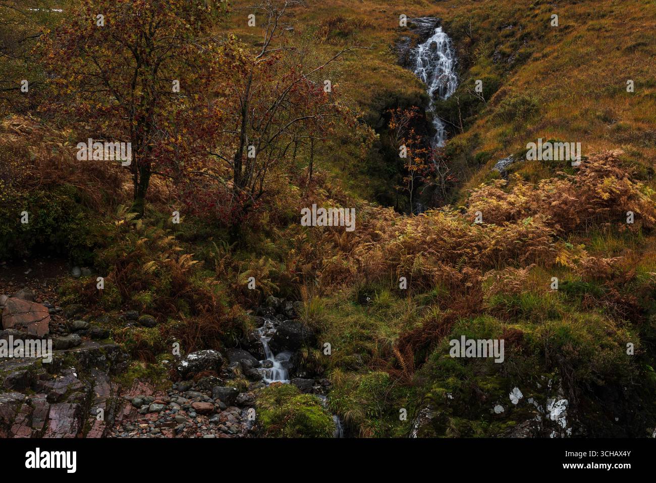 Cascata Vernal sulla collina ricoperta di salamoie vicino a Glencoe durante l'autunno nelle Highlands scozzesi Foto Stock