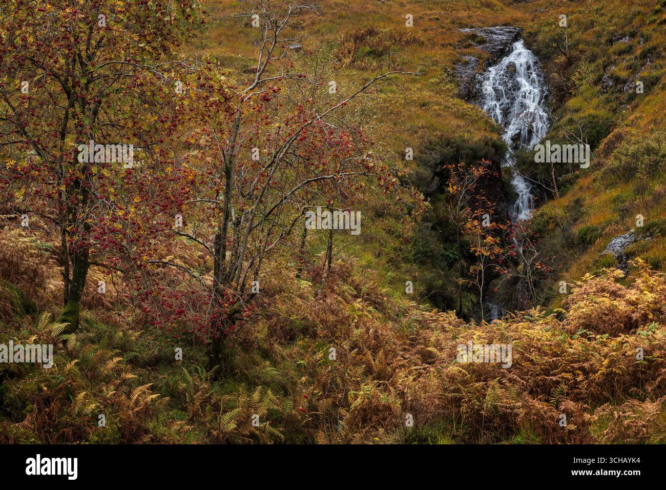 Cascata Vernal sulla collina ricoperta di salamoie vicino a Glencoe durante l'autunno nelle Highlands scozzesi Foto Stock
