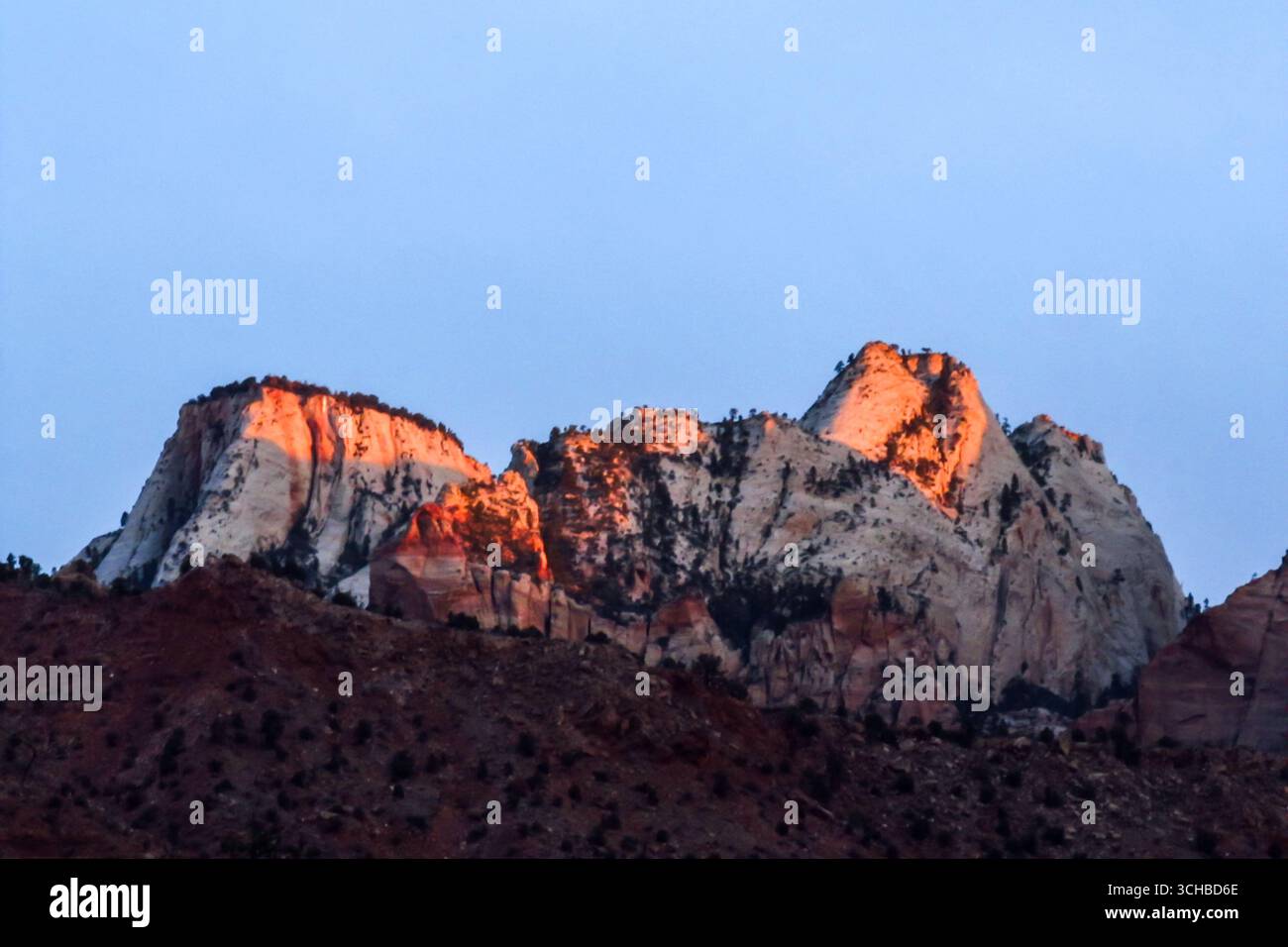 Le torri della Vergine, lungo il bordo dello Zion Canyon nello Utah, nella luce dorata di Dawn. Foto Stock